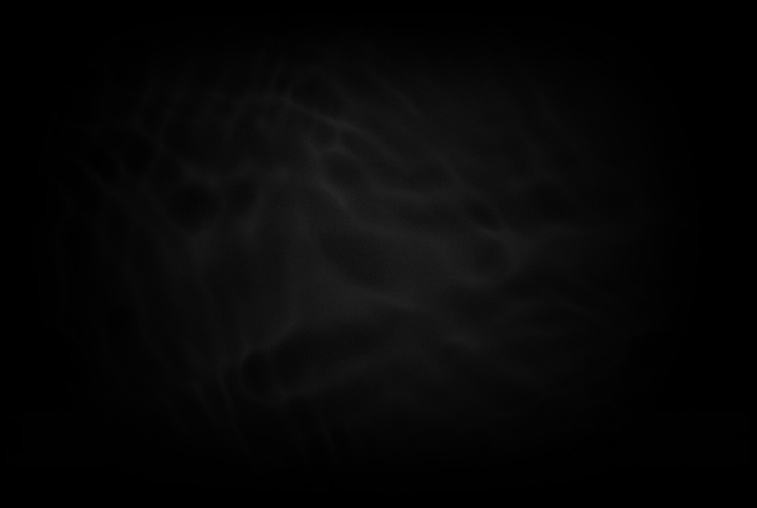 layer 4